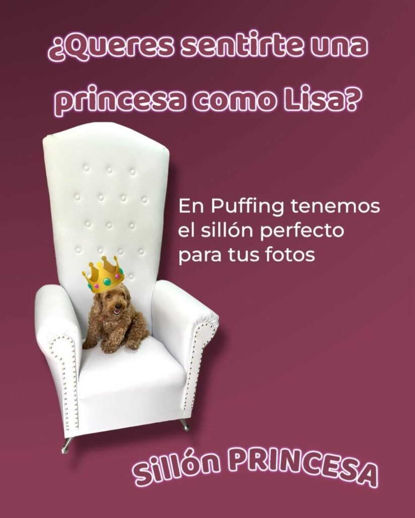 WhatsApp Image 2026-04-07 at 22.58.26